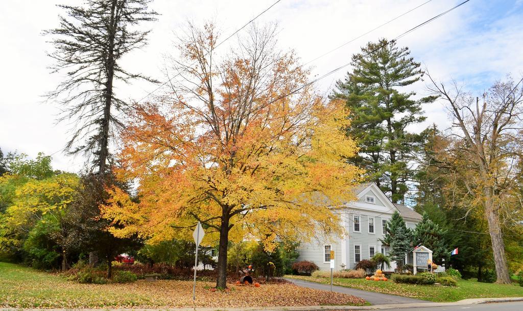 Maple Terrace Motel Williamstown Zewnętrze zdjęcie