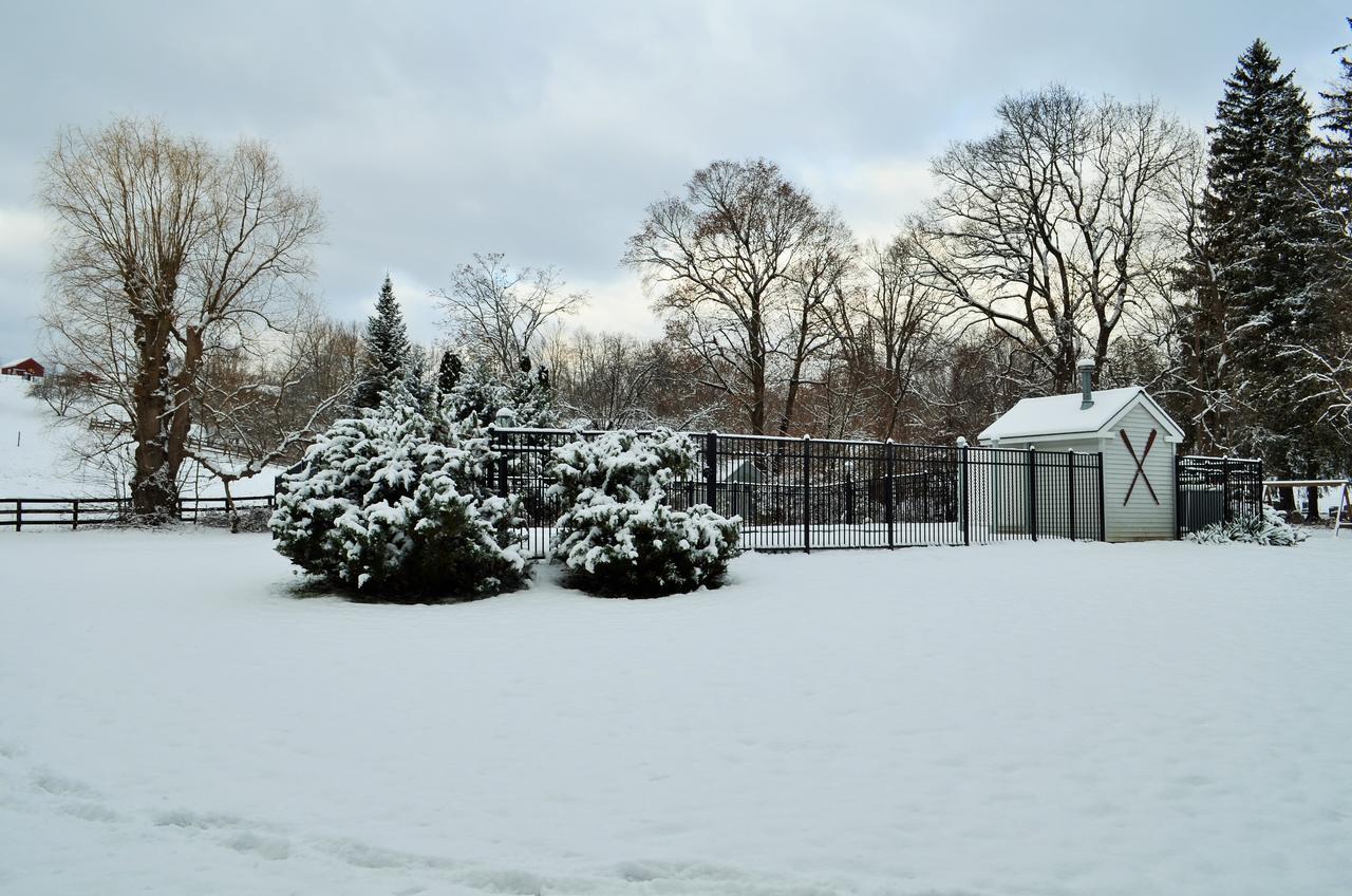 Maple Terrace Motel Williamstown Zewnętrze zdjęcie